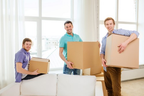 Boxes and furniture arranged in Wembleypark storage